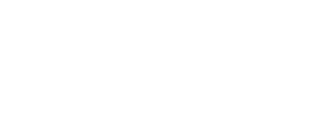 Het logo van bies consultancy